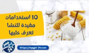 10 استخدامات مفيدة للنشا لن تصدقها !