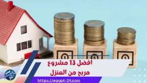 افضل مشروعات مربحة من المنزل 2025