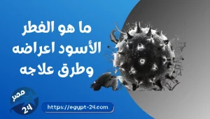 ما هو الفطر الأسود اعراضه وطرق علاجه