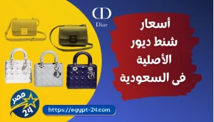 أسعار شنط ديور الأصلية فى السعودية 2023
