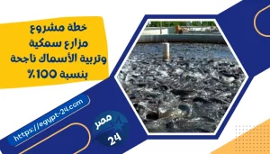 خطة مشروع مزارع سمكية وتربية الأسماك ناجحة بنسبة 100%