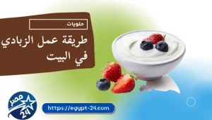 طريقة عمل الزبادي في البيت