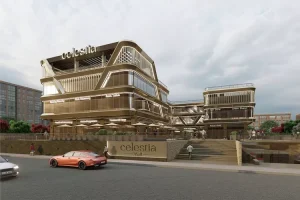 سيليستيا مول: عالم من الفرص الاستثمارية في قلب الشيخ زايد