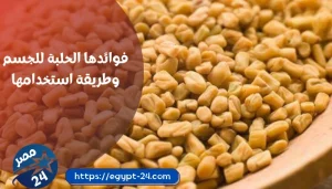 فوائدها الحلبة للجسم وطريقة استخدامها